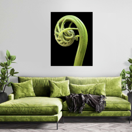 Ferns Series Poster Prints