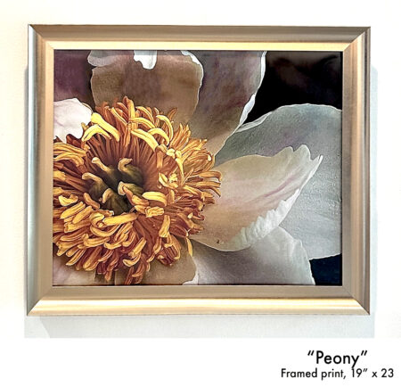 "Peony"