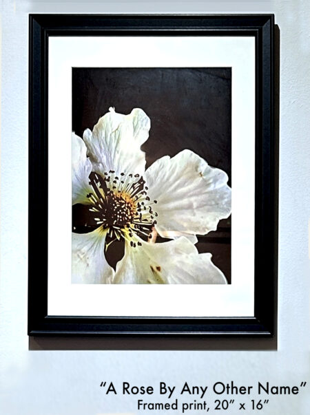 A Rose By Any Other Name