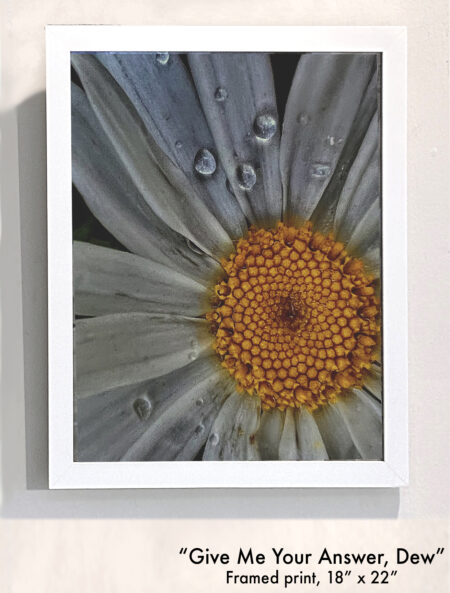 "Give Me Your Answer, Dew"