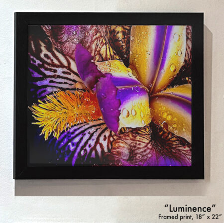 "Luminance"
