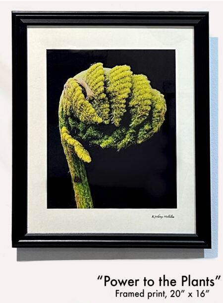 "Power to the Plants"