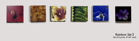 Rainbow set 2