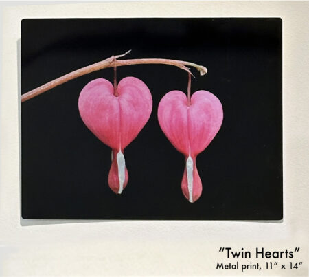 Twin Hearts